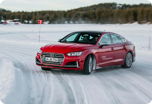 Winter Car